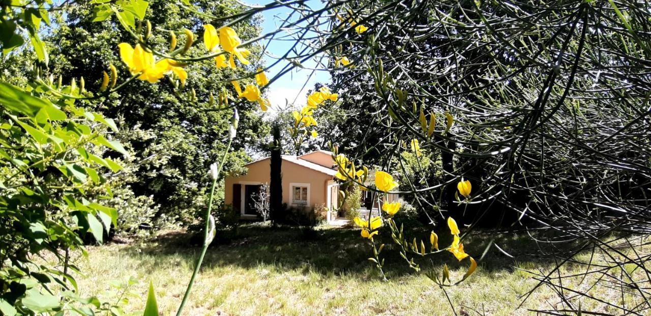 Les Lilas Des Chenes Piolenc Buitenkant foto