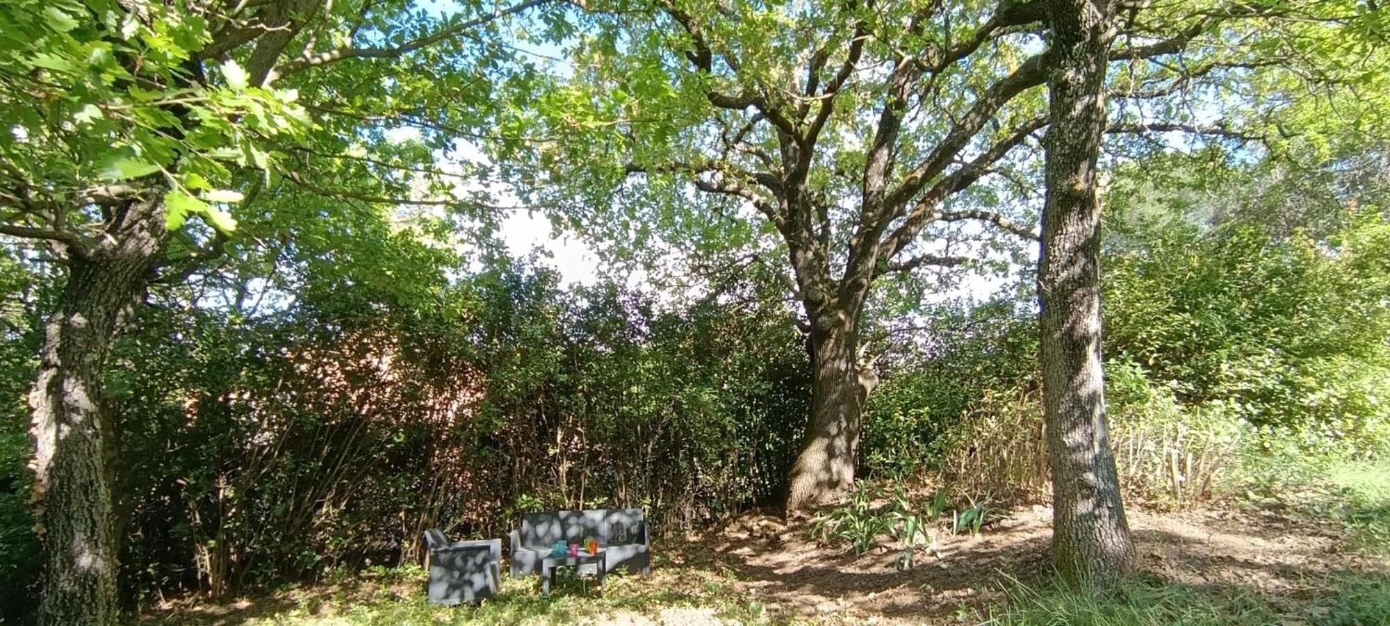 Les Lilas Des Chenes Piolenc Buitenkant foto