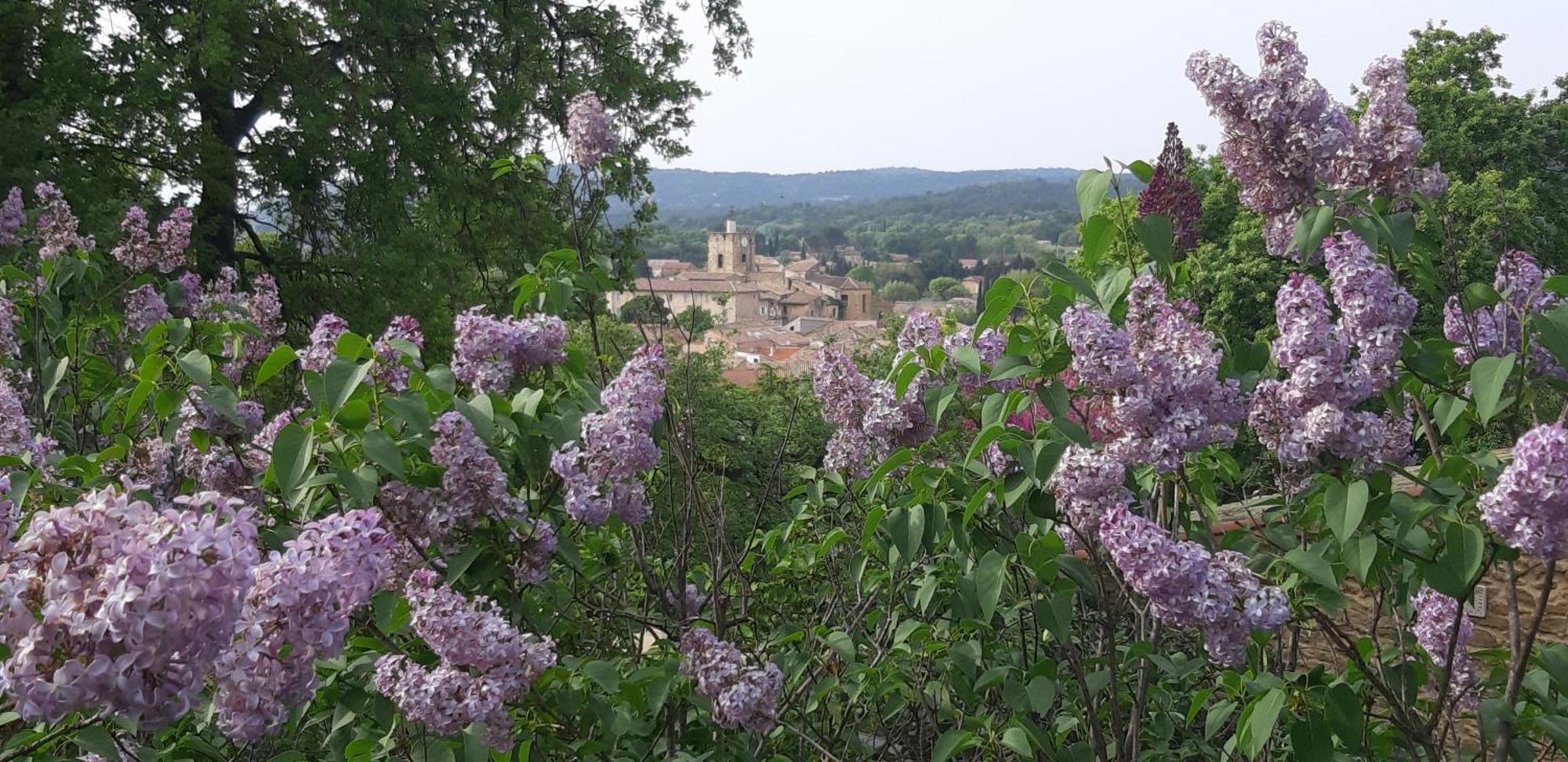 Les Lilas Des Chenes Piolenc Buitenkant foto